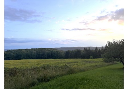 Finger Lakes NY homes for sale