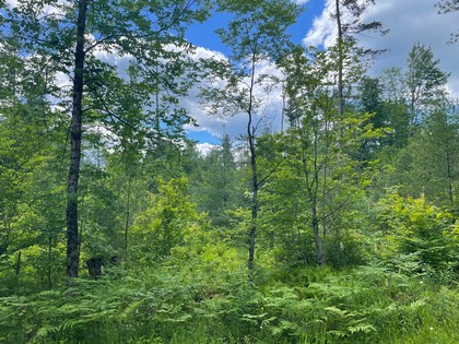 NY Adirondack hunting land for sale