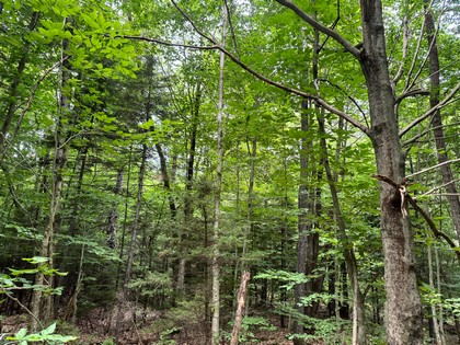 Tug Hill NY land for sale