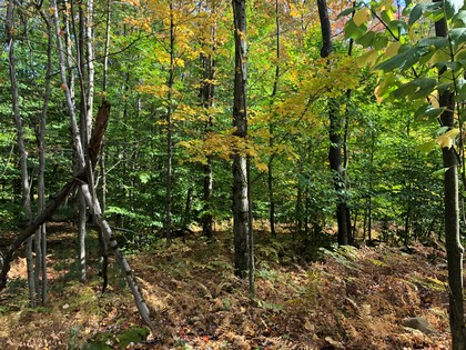 NY land for sale near Oneida Lake