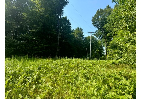 NY Salmon River area land sale
