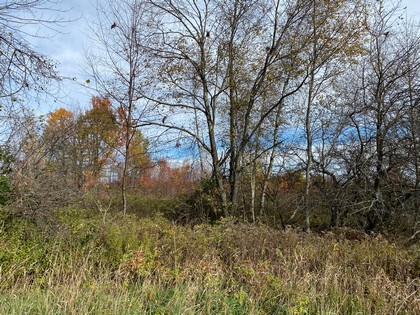NY building lot for sale in Florence NY
