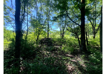 NY Southern Tier land for sale