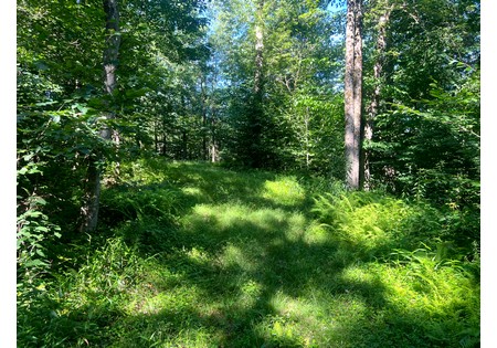 NY hunting land for sale