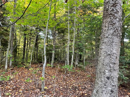 NY snowmobile land for sale