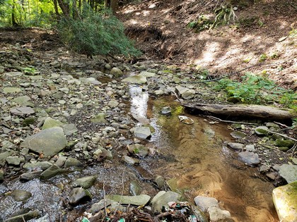 NY creek front land for sale Florence NY