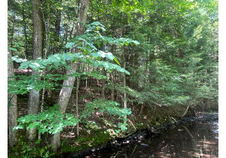 NY hunting land for sale
