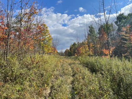 Waterfront land for sale Southern Tier NY