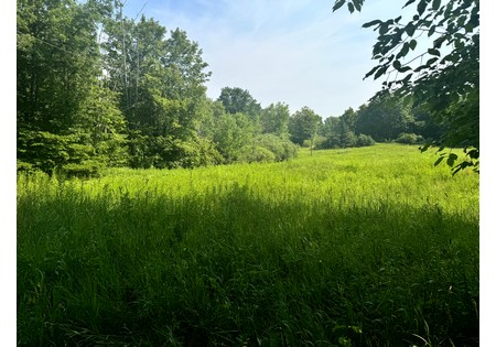 NY Salmon River area land sale