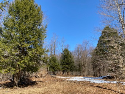 NY land and camp for sale Westdale NY