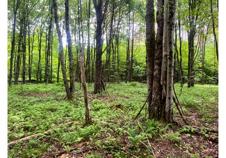 NY camps for sale