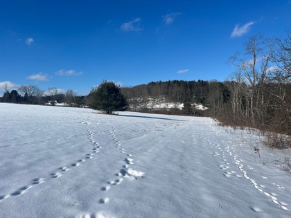 Catskills NY land for sale