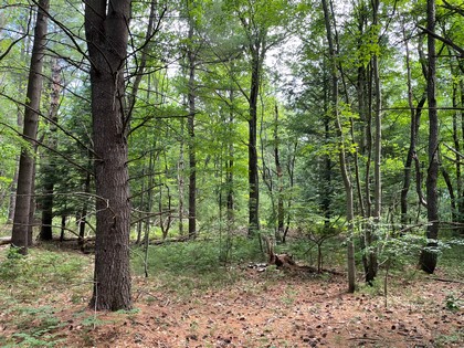 NY land for sale in Vienna NY