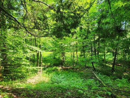 NY land for sale near Oneida Lake