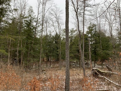 Adirondack NY land for sale in Diana NY