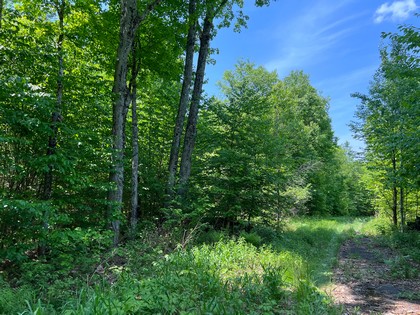 Adirondack NY land for sale