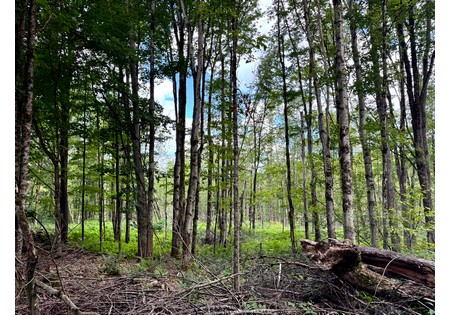 NY land for sale
