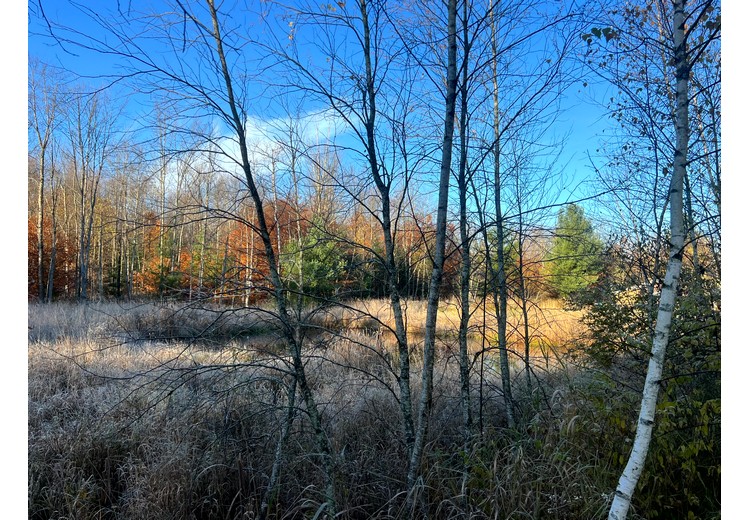 NY cabins for sale