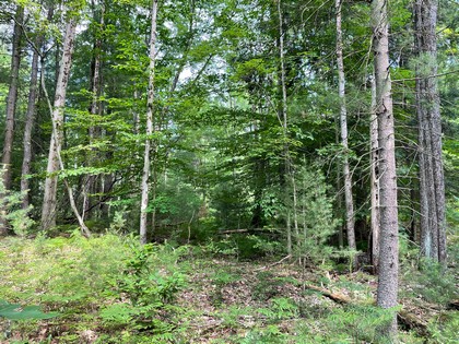 NY land for sale in Vienna NY