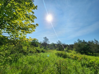 finger lake ny properties for sale