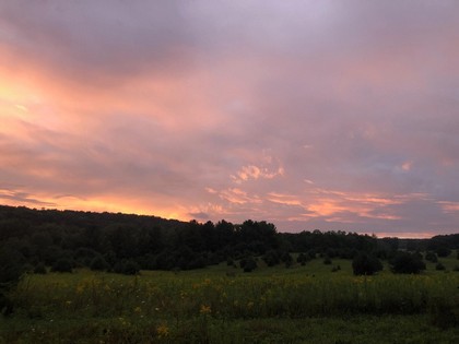 land for sale NY