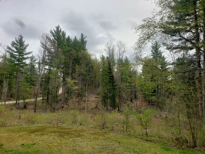 Western Adirondack NY hunting land for sale