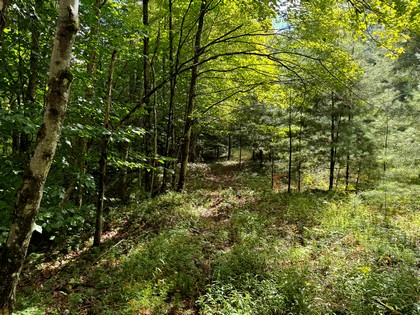 Adirondack land for sale