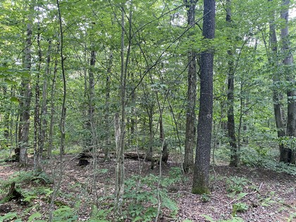 NY waterfront land for sale