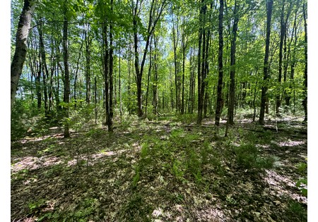 NY land for sale 