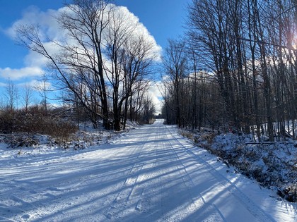 NY snowmobile land for sale