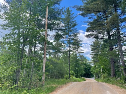 NY Adirondack hunting land for sale