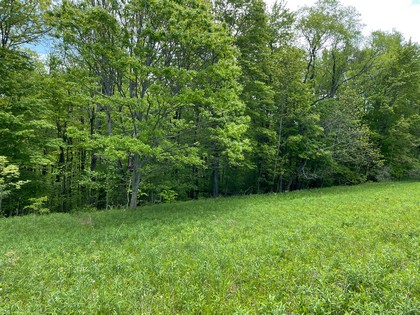 NY land for sale in Harford NY