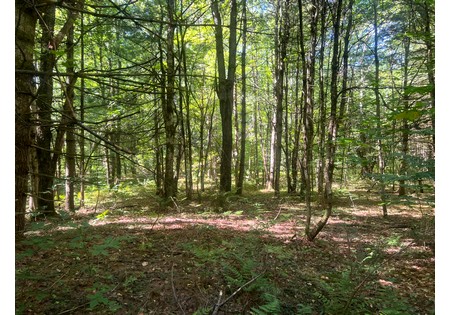 NY hunting land for sale