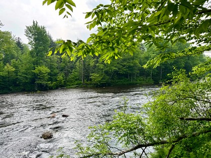 Adirondack waterfront land for sale NY