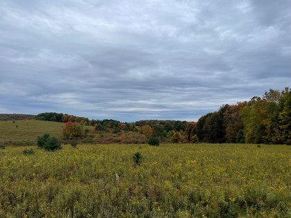 NY land for sale in Oneida County