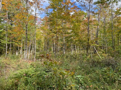 NY land for sale near Adirondacks