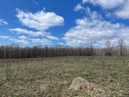 NY land and camps near Salmon River