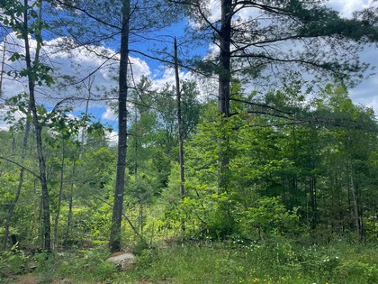 NY Adirondack hunting land for sale