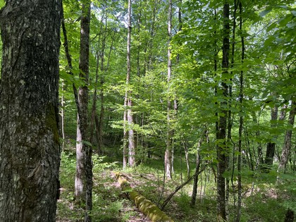 Riverfront land for sale in NY