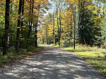 Adirondacks NY land for sale