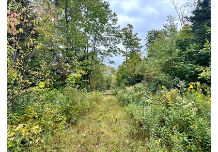 Tug Hill NY land for sale