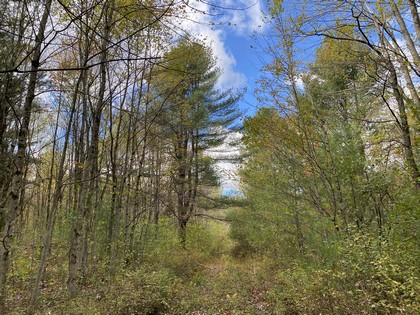 NY hunting land for sale