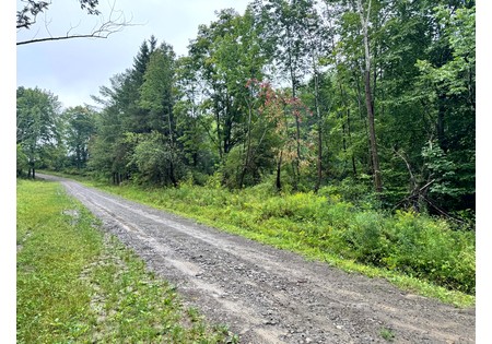 NY Finger Lakes land for sale