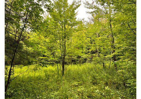 Finger Lakes NY land for sale
