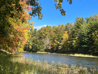 NY waterfront land for sale, land and camps, ny waterfront properties, ny lakefront land, christmas associates