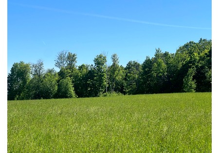 NY Southern Tier land for sale