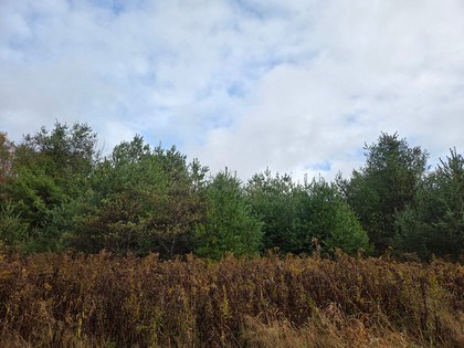 land for sale NY