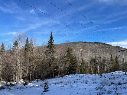 Adirondack land for sale