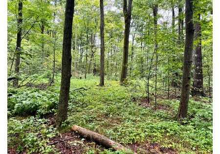 Finger Lakes NY land for sale