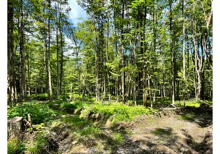 NY land for sale